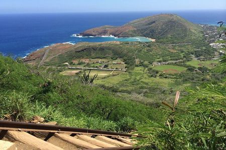 Koko Head Hike with Pickup and Drop-off