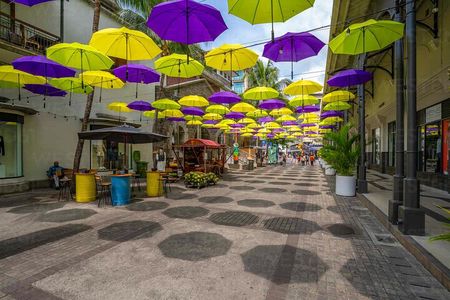 North Mauritius Adventure and Sightseeing Tour