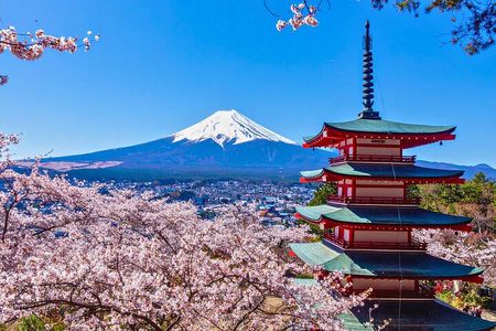 Mount Fuji Private Custom Tour with Local English Speaking Guide