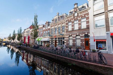 Private Day Trip to Utrecht, Oudewater and Gouda from Amsterdam