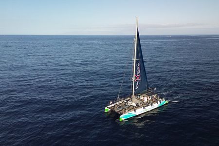 3-hour Whale and Dolphin Watching and Listening Tour