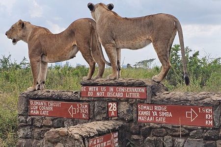 Nairobi: National Park and Giraffe Center Half Day Tour