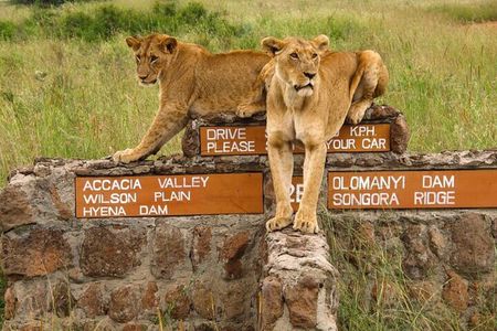 Nairobi National Park,Elephant Orphanage, Giraffe Center and Karen Blixen Museum