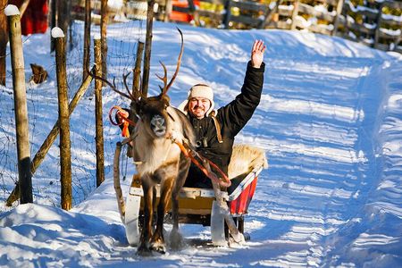 Rovaniemi Reindeer and Husky Ride with Transfers