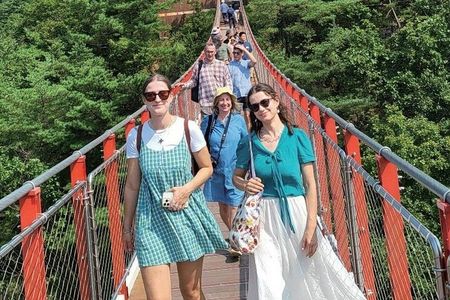 Signature DMZ Tour: Exclusive Defector Talk & Suspension Bridge