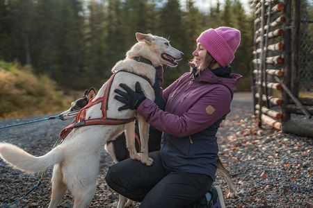 Autumn Husky Experience with Cart Ride and Photographer