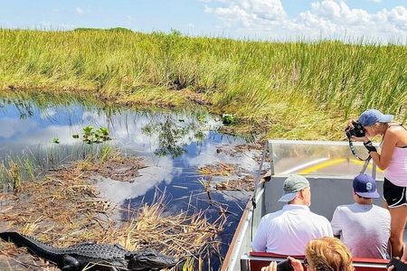 Everglades Airboat Ride and Nature Walk Private Tour