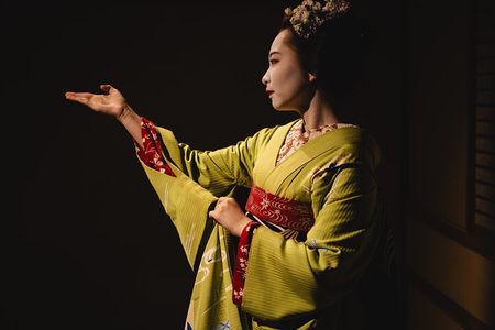 Kyoto Geisha Show: Cultural Hour with an apprentice geisha, Maiko