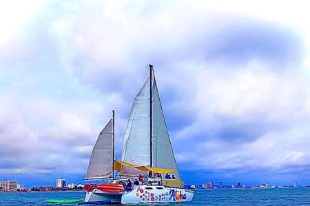 4-hour whale watching in magical Mazatlan