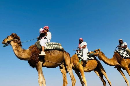 Agafay Desert: Dinner & Show Quad bike and camel ride with sunset