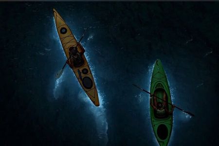 Experience the Sunset and Plankton Bioluminescent Night Kayak