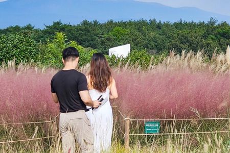 Jeju Island Taxi Join Tour