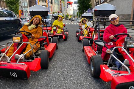 Akihabara: Go-Kart Experience with Local Guide in Tokyo