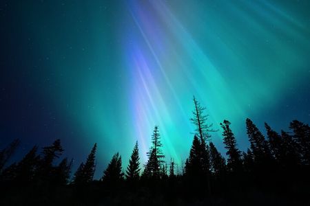Aurora Borealis Experience Night Edition