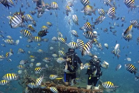 Scuba Diving Discovery in the Crystal Water DE Bayahibe