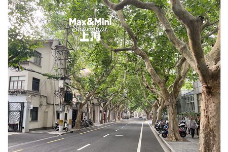 French Concession Shanghai History Themed Culture Walk