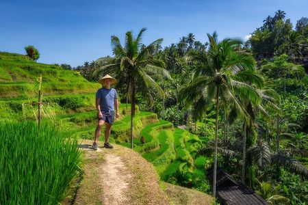 Private Full Day Tour in Ubud 