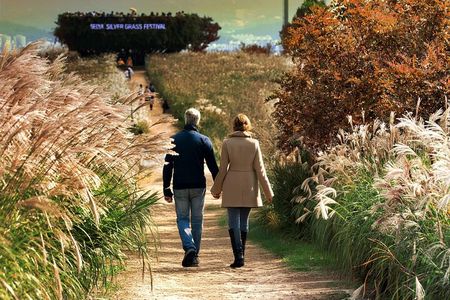 Seoul City Highlights Tour: Hanok Village, Scenic Routes