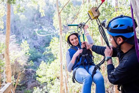 Cape Town Zipline Adventure (Hotel Pickup included)