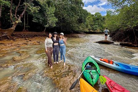 Kayaking Tour in the Mangroves of Chiriqui
