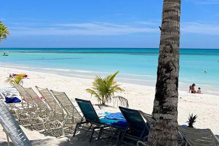 Saône Catamaran Island - speedboat, open bar and lunch