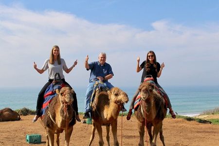 Casablanca to Rabat Day Trip with Camel Ride At Bouznika Beach
