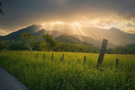 Half Day El Yunque Tour, Waterslide and Rope Swing