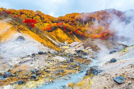 Sapporo: Noboribetsu Hell Valley, Lake Toya & Bear Farm Tour