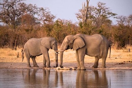 Hwange National Park 3 Days Package