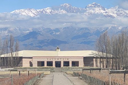 Winery Tour of Uco Valley