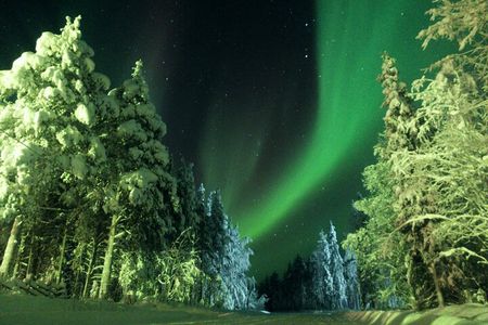 LEVI Northern Lights Tour with Money Back Guarantee