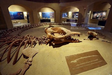 From Cairo 4x4 Safari Camel Ride Magic Lake Waterfalls and Lunch