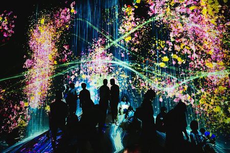 Kyoto TeamLab Biovortex & Kyoto Walking Tour 