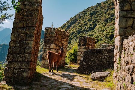 1-Day Short Inca Trail Trek to Machu Picchu