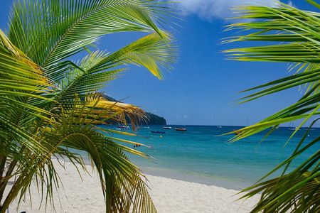 Authentic Tour of Southern Martinique