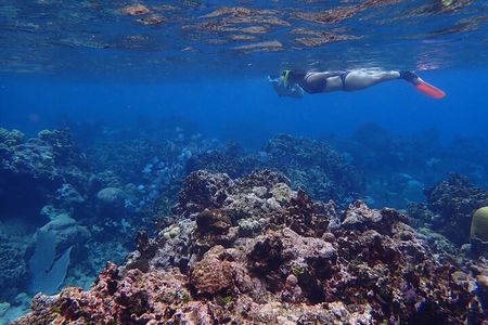 Roatan Private Island Tour With Snorkeling And Beach Time