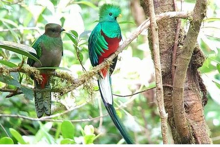 Curicancha Day & Night Tour