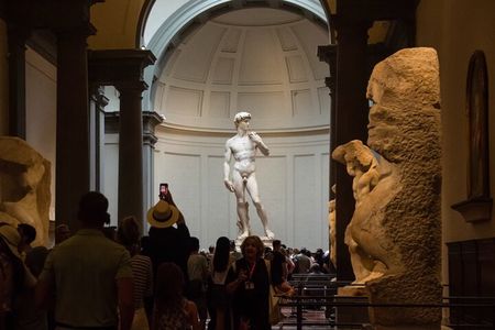 Accademia & Michelangelo's David Express Tour 
