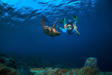 Private 5 Hour Daymaniyat Half Day Snorkeling Trip