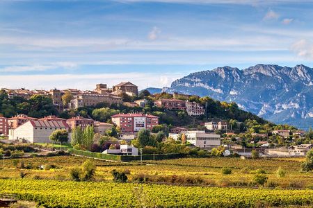 Tour to Logroño and Laguardia with winery visit from Vitoria