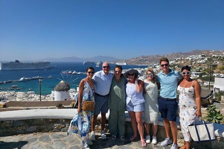 Mykonos Island Tour for Cruise Passengers