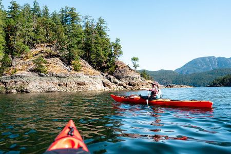 From Campbell River: Kayaking and Whale Watching Combination Tour