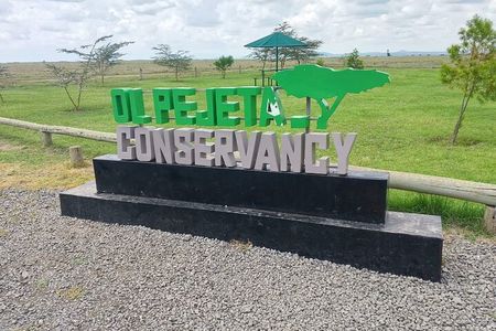 3 Days and 2 Nights Wildlife Experience at Ol Pejeta Conservancy