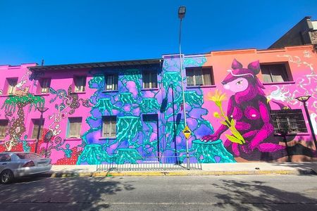 Santiago Barrio Yungay Street Art Walking Tour Experience