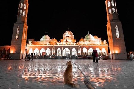 Hurghada Museum & City Tour With Private transportation - Hurghada 