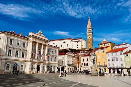 Slovenian Coast & Wine Private Tour with Tastings from Ljubljana