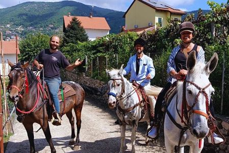 Agerola Horse Ride Activity Tour