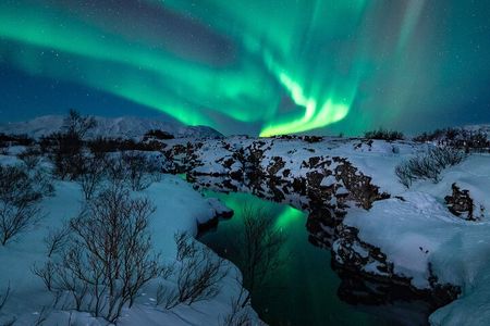 Reykjavik Northern Lights Tour with Professional Photographer
