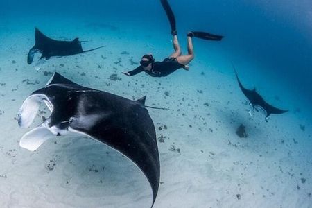 Sharing Snorkeling Experience to Manta Point in Penida