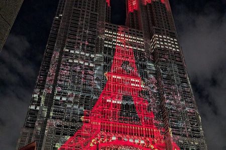 Tokyo Highlights Walk: Shinjuku & Shibuya for First Time visitors